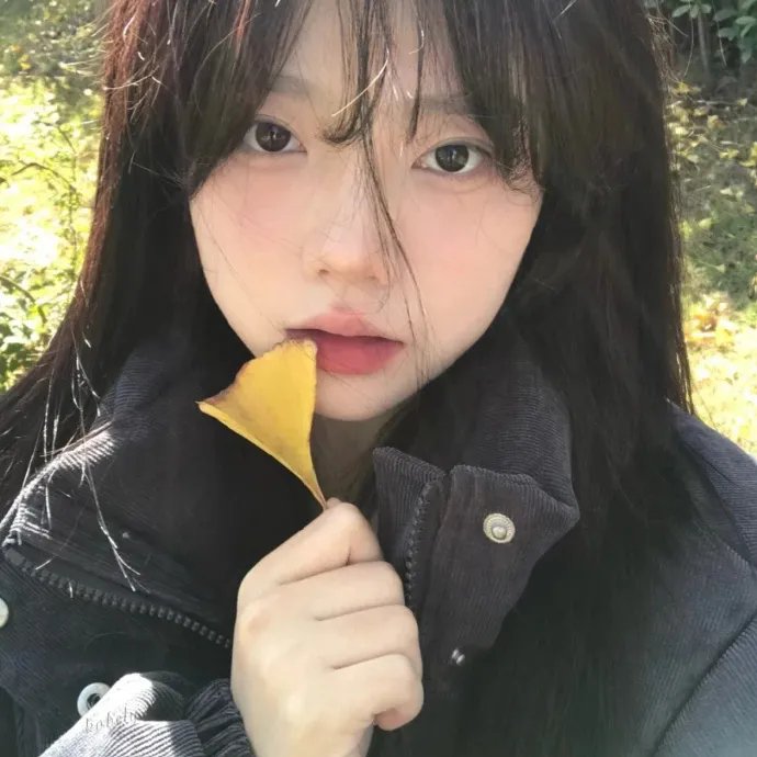 冲绳豆腐之恋